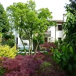 Bed & Breakfast A Casa Di Dora Treviso