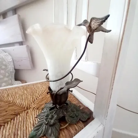 A Casa Di Dora 트레비소