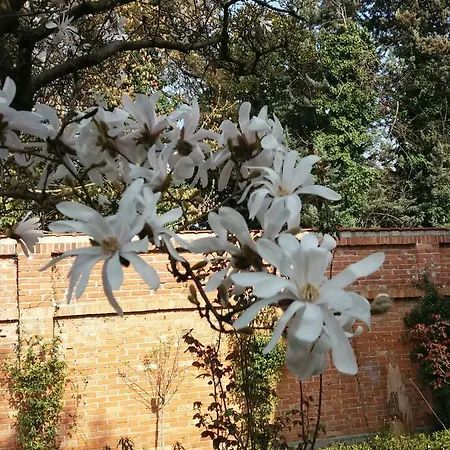 A Casa Di Dora