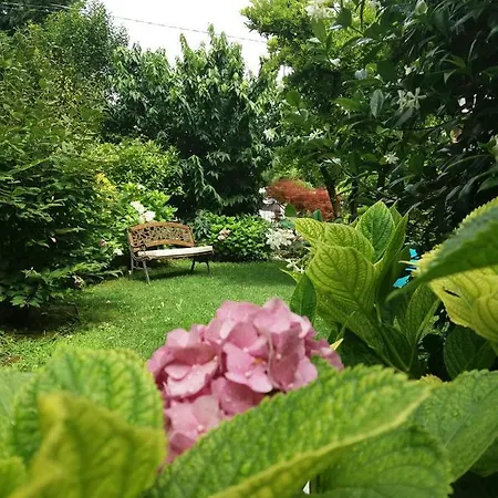 A Casa Di Dora 3* Treviso
