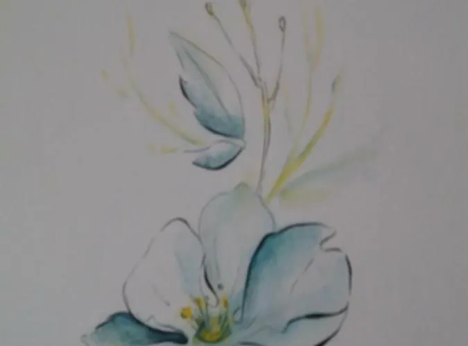 Oda ve Kahvaltı A Casa Di Dora Treviso