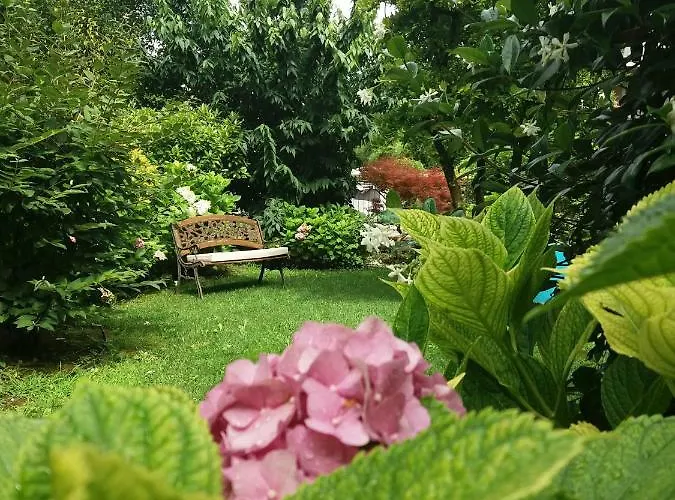 A Casa Di Dora 3* Treviso